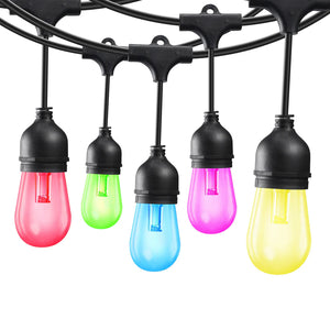 Pro 120V LED Multi-color Outdoor String Light - 50' 15 lights